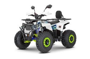 Квадроцикл Dazzle ATV125 Комплектация 1 Белый