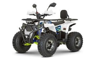 Квадроцикл Dazzle ATV125 Комплектация 2 Белый