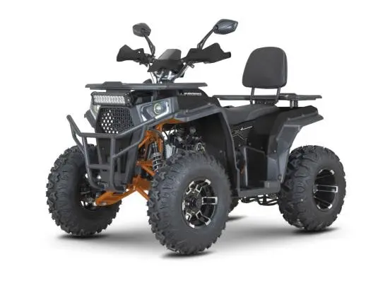 Квадроцикл Dazzle ATV200 Комплектация 2 Черный