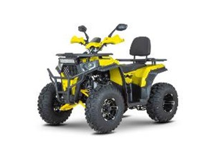 Квадроцикл Dazzle ATV200 Комплектация 2 Желтый